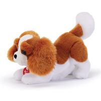 Trudi Peluche Cane Cavalier King Marley 22334